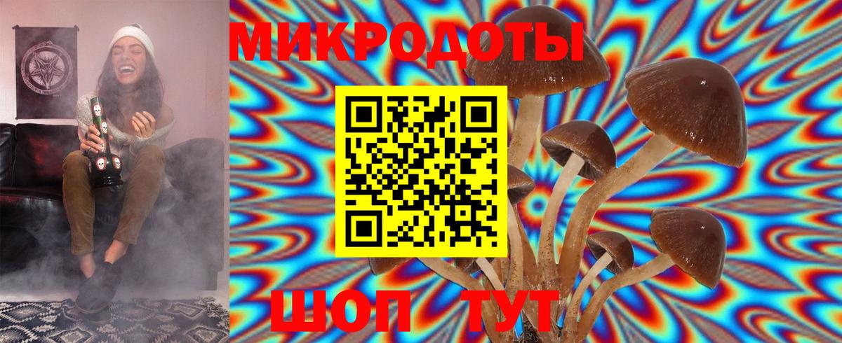 Галлюциногенные грибы MAGIC MUSHROOMS  Вход с VPN  Ипатово 